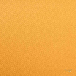 [227883] LIGHT ORANGE, PLAIN