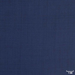 [223603] BLUE, CHECKS