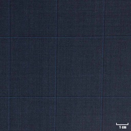 [223608] BLUE, CHECKS