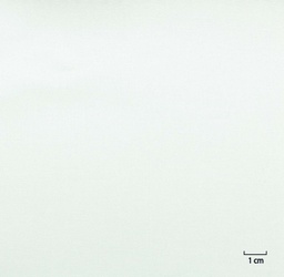 [823721] WHITE, PLAIN