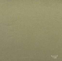 [823728] KHAKI, PLAIN
