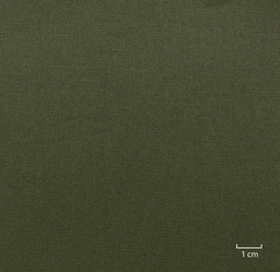 [823731] DARK GREEN, PLAIN