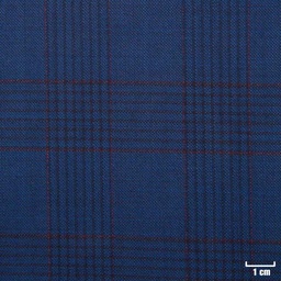 [502103] BLUE, RED CHECKS