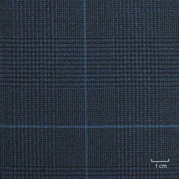 [502105] DARK BLUE, BLUE CHECKS