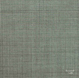 [502106] GREY, CHECKS
