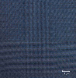 [502109] BLUE, CHECKS