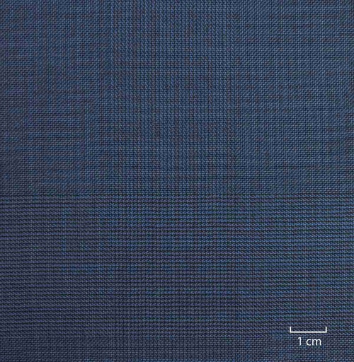 [502109] BLUE, CHECKS