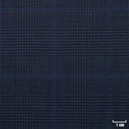 [502114] BLUE, BLUE CHECKS