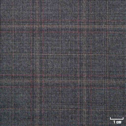 [502117] GREY, RED CHECKS