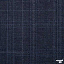[502118] BLUE, BLUE CHECKS