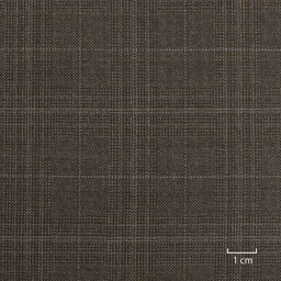 [502119] BROWN, CHECKS