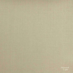 [502160] TAN, PLAIN