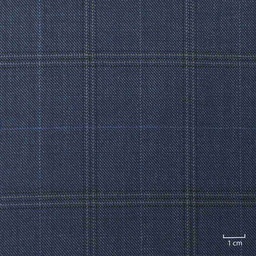 [502302] DARK BLUE, CHECKS