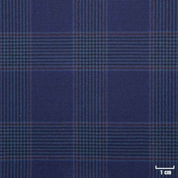 [502311] BLUE, RED CHECKS
