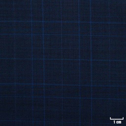 [502317] BLUE, CHECKS