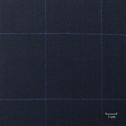 [502324] DARK BLUE, CHECKS