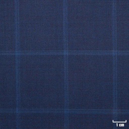 [502326] BLUE, CHECKS