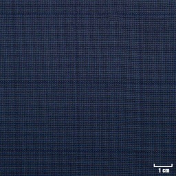 [502328] DARK BLUE, CHECKS