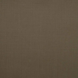 [502377] BROWN,PLAIN