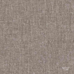 [318907] LIGHT BROWN, PLAIN