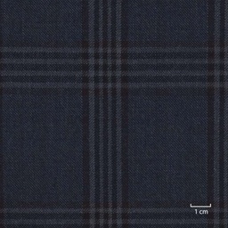 [318930] DARK BLUE, CHECKS