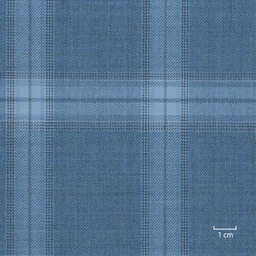 [318932] BLUE, CHECKS