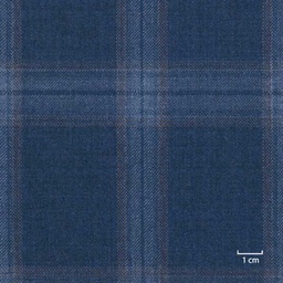 [318933] DARK BLUE, CHECKS