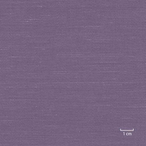 [318954] PURPLE, PLAIN