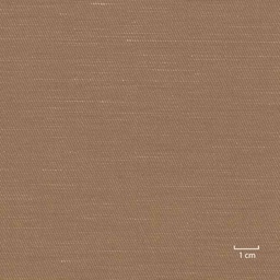 [318956] CAMEL, PLAIN