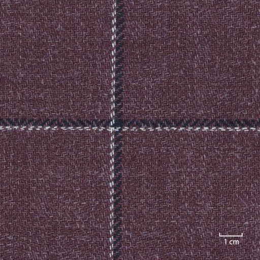 [318963] BURGUNDY, CHECKS