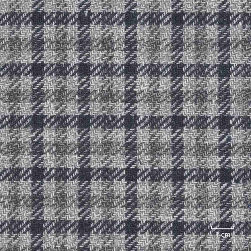 [318966] BLUE, CHECKS