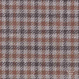 [318968] BROWN, CHECKS