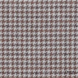 [318977] BROWN, CHECKS