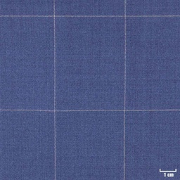 [318517] BLUE, BIG WHITE CHECKS (DR# 10117)