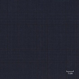 [318534] BLUE, BLACK PRINCE OF WALES CHECKS