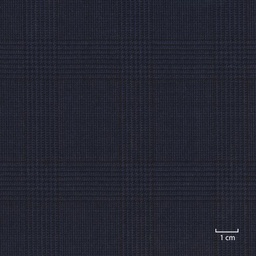 [318534] BLUE, BLACK PRINCE OF WALES CHECKS