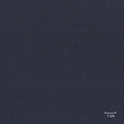 [318536] BLUE, PRINCE OF WALES CHECKS (DR# 10136)