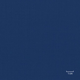 [318570] BLUE, PLAIN (DR# 10178)