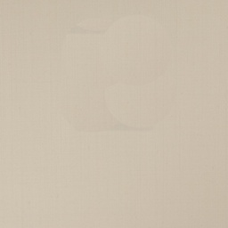[318580] WHITE, PLAIN (DR# 10174)