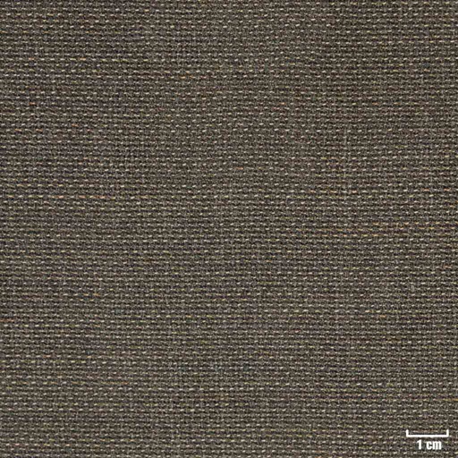 [318603] BROWN, HOPSACK (DR# 30103)