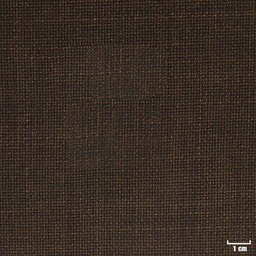 [318618] BROWN, HOPSACK (DR# 30118)