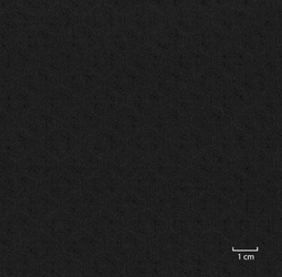 [318719] BLACK, MINI DESIGN (DR# 20119)
