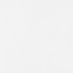 [318732] WHITE, PLAIN (DR# 20132)