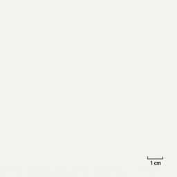 [318767] OFF_WHITE, PLAIN (DR# 20167)