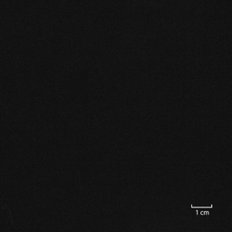 [318770] BLACK, PLAIN (DR# 20170)