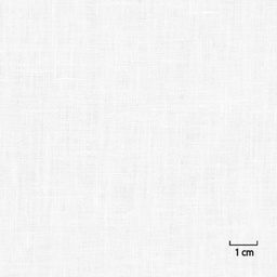 [318807] OFF_WHITE, PLAIN (DR# 25107)