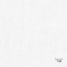 [318807] OFF_WHITE, PLAIN