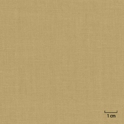 [318809] LIGHT BROWN, PLAIN
