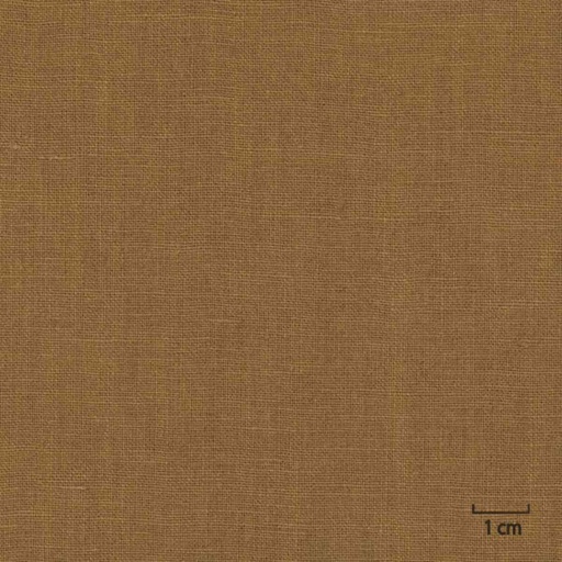 [318810] BROWN, PLAIN (DR# 25110)