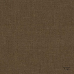 [318811] BROWN, PLAIN (DR# 25111)